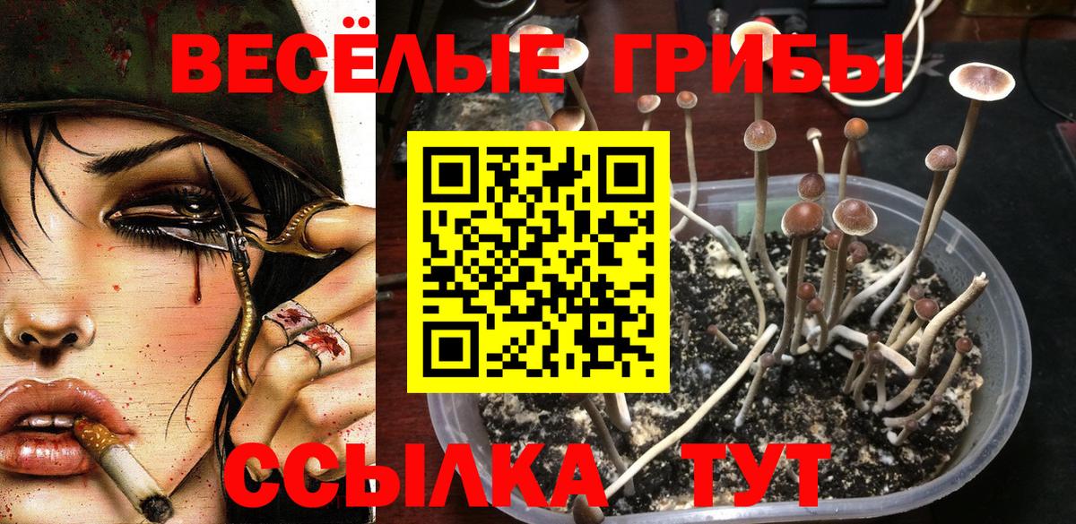 Галлюциногенные грибы Cubensis  Вход с VPN  Щёлково 