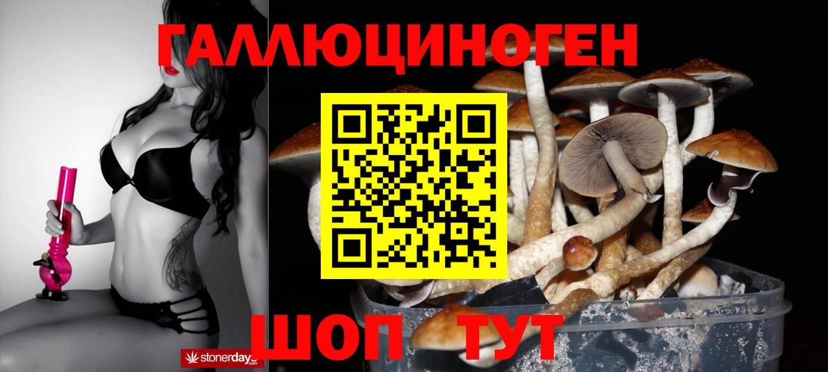 Псилоцибиновые грибы Magic Shrooms Щёлково